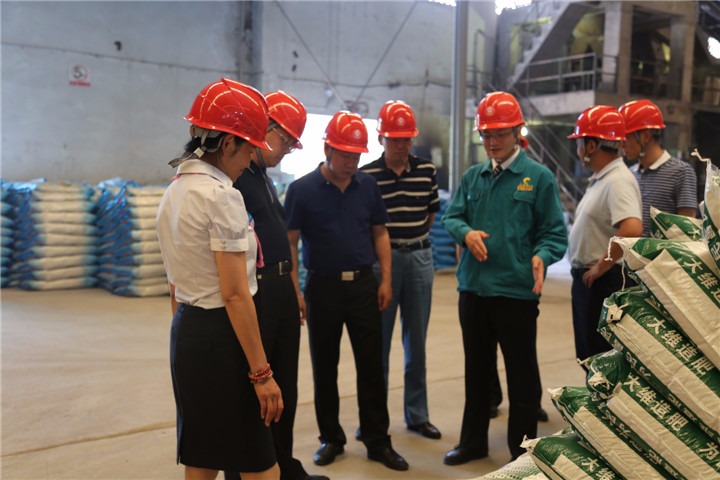 耿克明、高建嵩到大维肥业等企业调研