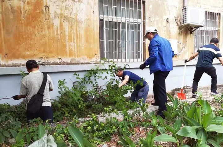 集团机关党委、老干党委开展党员自愿服务活动