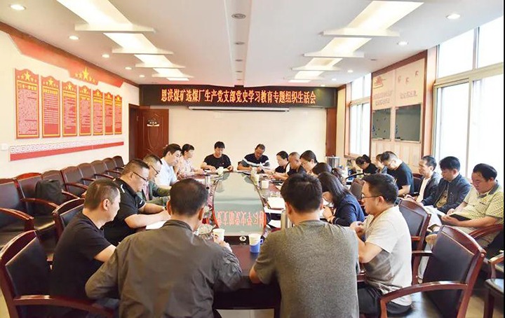 集团党委副书记、、工会主席王鑫赴恩洪煤矿督导党史学习教育专题组织生涯会