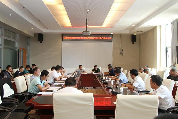 云煤（鸿运国际）集团党委开展2021年第八次党委理论学习中心组集中学习