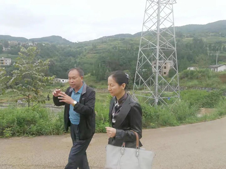 集团党委委员、、、财务总监莫晓丹一行到羊场口煤业温顺源煤矿开展煤矿项目建设事情专项调研