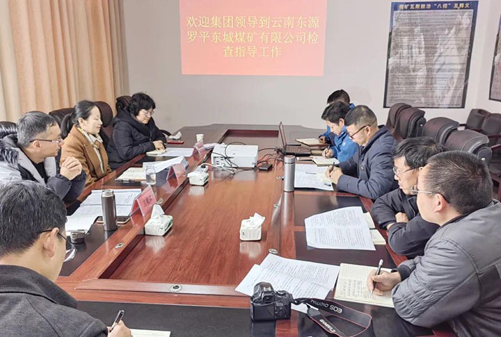 集团党委委员、、财务总监莫晓丹一行赴罗平东城公司督导调研