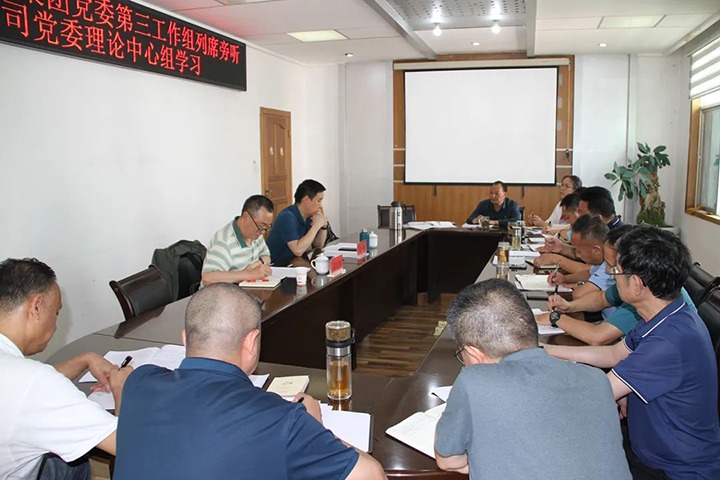 云煤（鸿运国际）集团党委第三事情组列席旁听恒通公司党委理论中心组学习