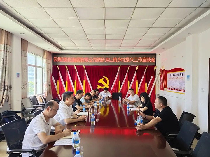 集团党委副书记、、、工会主席王鑫一行深入集团墟落振兴挂钩帮扶点寿山镇调研