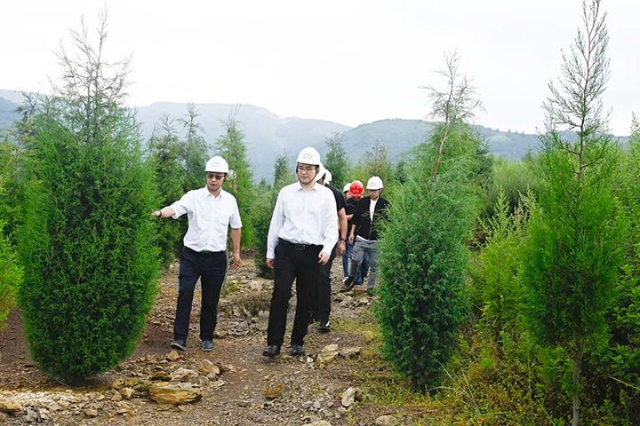 自然资源部矿产资源；ぜ嗍铀臼褂眉嗍哟Ω贝Τに镉莱恍械较确婷阂档餮新躺笊浇ㄉ枋虑