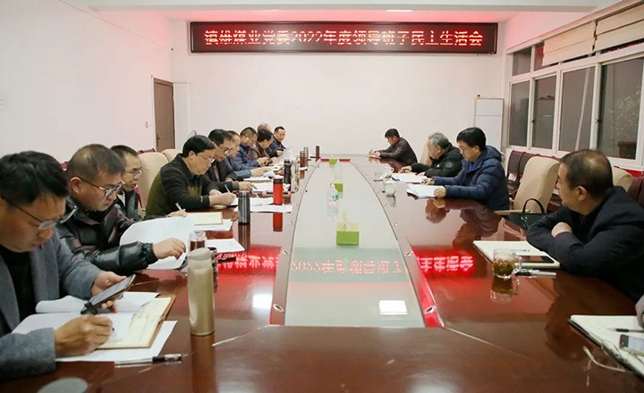集团党委委员、、副总司理施从伟到镇雄煤业公司指导年度民主生涯会
