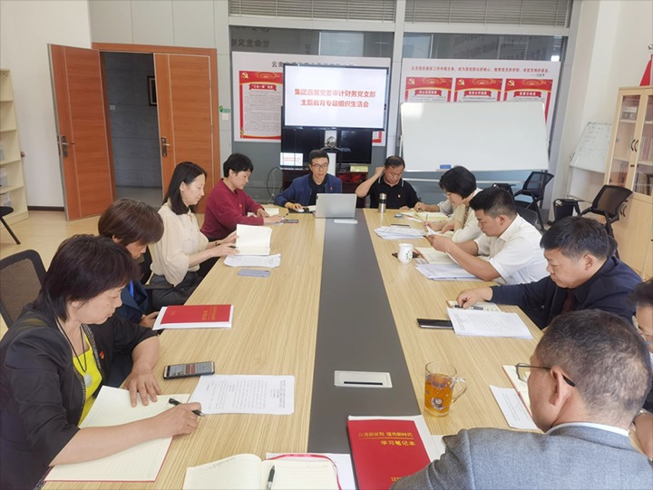 【主题教育】集团直属党委审计财务党支部、解化清洁能源公司党委、可保煤矿公司党委召开主题教育专题民主（组织）生涯会