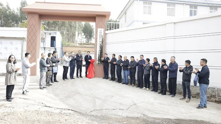 【云煤简讯】先锋煤业、、云南解化、、先锋化工三家公司动态｜精彩内容速览