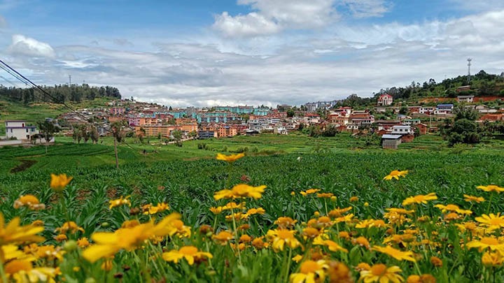 【云煤岁月】笃行不辍营生长，，，砥砺奋进谱新篇——平煤故事（一）