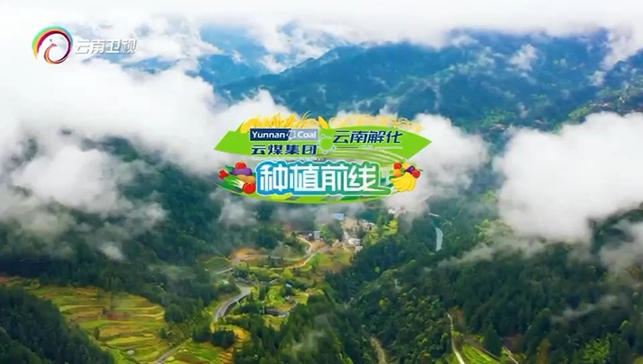 【聚焦云煤】云南卫视专题播报：护航春耕 解化领先
