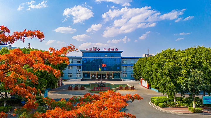 红色基由于引领，，磨练战场写华章  —— 汗水与智慧交织的磨练历程