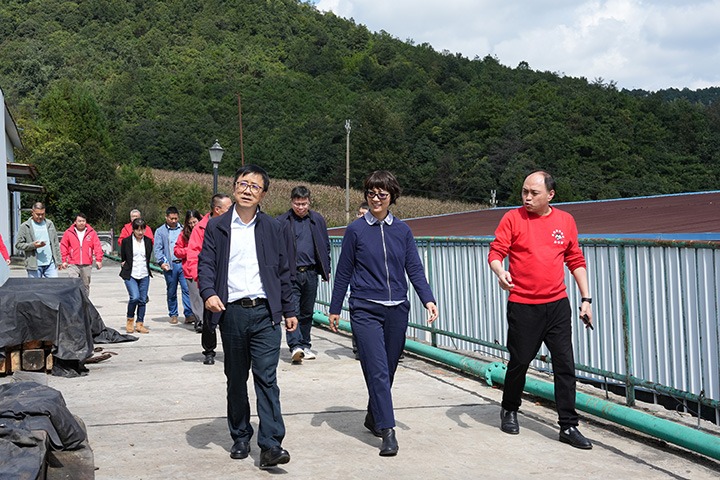 云南省国资委党委委员、、、副主任夏丽坤一行到云煤集团所属恩洪煤业公司开展现场督导调研