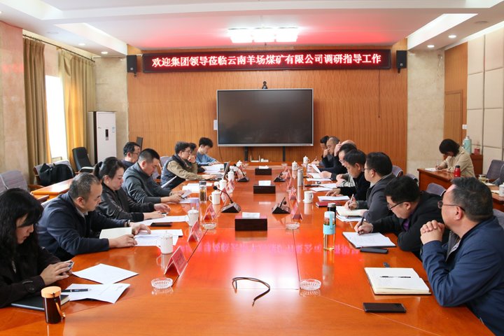 云煤集团党委委员、、副总司理缪和星到云南羊场煤矿有限公司调研